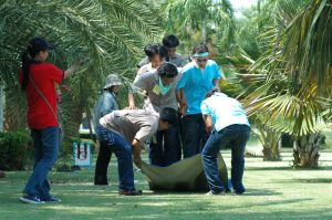 หลักสูตรหัวหน้างาน, หลักสูตรพัฒนาหัวหน้างาน, หลักสูตรหัวหน้างานยุคใหม่, การบริหาร, management, หัวหน้างาน, supervisor, การบังคับบัญชาสำหรับหัวหน้างาน, supervisory, บทบาทหัวหน้างาน, บทบาทและหน้าที่หัวหน้างาน, supervisory skill, การแก้ปัญหาและตัดสินใจ, problem solving, problem solving and decision making, การบริหารความขัดแย้ง, conflict, conflict management, การเป็นผู้นำ, leadership, ผู้นำ, leader, โค้ช, coach, การสอนงาน, coaching, การสั่งการ, การสั่งงาน, directing, การมอบหมายงาน, delegation, การควบคุมงาน, controlling, การจูงใจ, การจูงใจผู้ใต้บังคับบัญชา, การจูงใจลูกน้อง, motivation, การประเมินผลการปฏิบัติงาน, performance appraisal, การบริหารทรัพยากรบุคคล, human resource management, งานด้านบุคคล, hr, human resource, การบริหารทรัพยากรมนุษย์, การพัฒนาบุคลากร, แผนการฝึกอบรมประจำปี, training, training road map, การรักษาบุคลากร, engagement, การรักษาคนเก่ง, talent retention, การคิดอย่างเป็นระบบ, systematic thinking, การคิดสร้างสรรค์, creative thinking, การทำงานเป็นทีม, team, teamwork, การสื่อสาร, communication, การประสานงาน, cooperation, การเจรจาต่อรอง, negotiation, การนำเสนอ, present, presentation, presentation skill, presentation technique, การวางแผน, plan, planning, การจัดลำดับความสำคัญของงาน, priority setting, การให้คำปรึกษา, counseling, การเป็นพี่เลี้ยง, พี่เลี้ยง, mentor, mentoring, การสัมภาษณ์พนักงาน, interview, interviewing, ความฉลาดทางอารมณ์, E.Q., e.q., 5ส, การเพิ่มผลผลิต, productivity, การลดต้นทุน, cost, cost reduction, การขาย, sales, การตลาด, marketing, การให้บริการ, service, service mind, การบริหารลูกค้าสัมพันธ์, crm, customer relationship management, การบริหารเชิงกลยุทธ์, strategic management, การวางแผนกลยุทธ์, strategic planning, การกำหนดตัวชี้วัดในการทำงาน, kpi, การบริหารเวลา, time management, โหงวเฮ้ง, kaizen, บริษัท ไอเดียล อินโนเวชั่น จำกัด, ไอเดียลอินโนเวชั่น, วิชิต สุรพนานนท์ชัย, ดร.วิชิต สุรพนานนท์ชัย, บริษัทวางระบบองค์กร, วางระบบองค์กร, วางระบบบริษัท, รับวางระบบบริษัท, บริษัทวางระบบ, การวางระบบบริษัท, บริษัทที่ปรึกษา, บริษัทวางระบบด้านงานบุคคล, ที่ปรึกษา, งานที่ปรึกษา, ที่ปรึกษาด้าน hr, บริษัทที่ปรึกษาด้าน hr, ที่ปรึกษา hr, ปรึกษา hr, ที่ปรึกษางาน hr, ที่ปรึกษาด้านทรัพยากรบุคคล, บริษัท hr consultant, บริษัทที่ปรึกษาด้าน hrd, ที่ปรึกษา hrd, ปรึกษา hrd, ที่ปรึกษางาน hrd, บริษัทที่ปรึกษาธุรกิจ, บริษัทที่ปรึกษาจำกัด, ที่ปรึกษาองค์กร, บริษัทรับวางระบบ, วางระบบด้านงานบุคคล, วางระบบด้านการบริหาร, วางระบบด้าน hr, งานด้าน hr, ผู้เชี่ยวชาญด้าน hr, ที่ปรึกษาด้านการขาย, วางระบบด้านการขาย, ที่ปรึกษาด้านการตลาด, วางระบบด้านการตลาด, ที่ปรึกษาด้านบัญชี, วางระบบด้านบัญชี, ที่ปรึกษาด้านการเงิน, วางระบบด้านการเงิน, ที่ปรึกษาด้านบริการ, วางระบบด้านบริการ